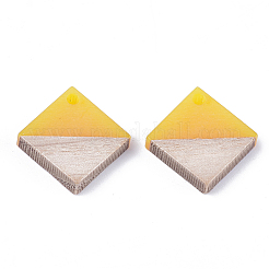 Resin & Wood Pendants&nbsp;RESI-S358-31H