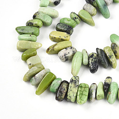 Natural Serpentine Beads Strands&nbsp;G-T140-62
