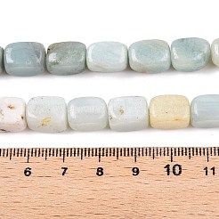 Natural Flower Amazonite Beads Strands&nbsp;G-T138-89