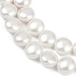 Electroplated Shell Pearl Beads Strands&nbsp;BSHE-G027-13B