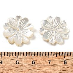 Natural White Shell Carved Beads&nbsp;SSHEL-Z002-03