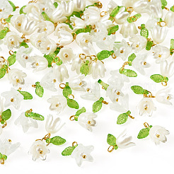 60個 3スタイル ABSプラスチック模造真珠とアクリルパーツ  花  真鍮パーツ  ホワイト  15.3mm  穴：2mm  20個/スタイル&nbsp;PALLOY-TAC0280