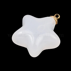 304ステンレススチール樹脂ペンダント  星のチャーム  ゴールド  透明  26x23x12.5mm  穴：1.6mm&nbsp;STAS-K322-11C-G
