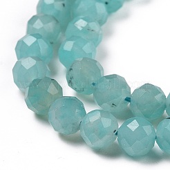 Natural Amazonite Beads Strands&nbsp;G-C009-A01