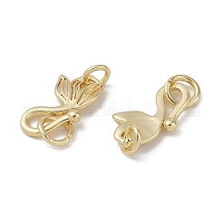 Brass Hook and S-Hook Clasps&nbsp;KK-G497-25G