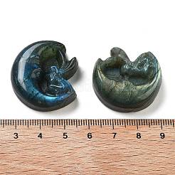Natural Labradorite Carved Cabochons&nbsp;G-C152-09