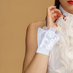 Lace Cloth Oversleeves&nbsp;AJEW-WH0348-190A