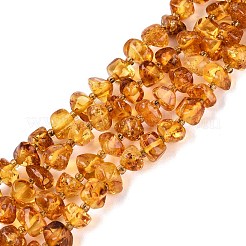 天然琥珀ビーズ連売り  チップ  シードビーズで  4~8x4~8x3~6mm  穴：0.6~0.7mm  約64~65個/連  14.76~14.96インチ（37.5~38cm）&nbsp;G-N371-20A-01