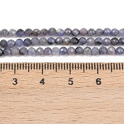 Natural Tanzanite Beads Strands&nbsp;G-C255-A01-3mm