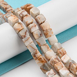 Natural Red Line Jasper Beads Strands&nbsp;G-Q1008-B05