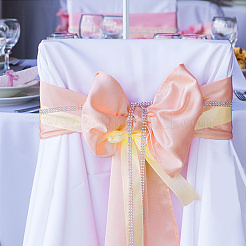 20mのポリエステルリボン  結婚式のお祝いの装飾のために  鮭色  3-3/4~4インチ（95~100mm）  約21.87ヤード（20m）/ロール&nbsp;OCOR-WH0077-72C