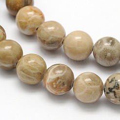 天然化石サンゴの丸いビーズ連売り  8mm  穴：1mm  約47個/連  38cm&nbsp;G-N0166-05-8mm