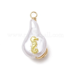 ABS Plastic Imitation Pearl Pendants&nbsp;PALLOY-JF02601-02
