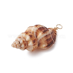Natural Spiral Shell Pendants&nbsp;PALLOY-JF02950
