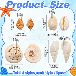 DIY 天然貝ビーズブレスレット ジュエリー作りキット  貝殻色  10~20x0.8~11x0.8~9mm  穴：1~2mm&nbsp;DIY-YW0010-33