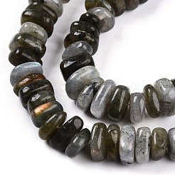 Natural Labradorite Beads Strands&nbsp;G-T141-09