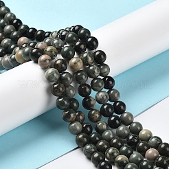 Natural Wood Lace Stone Wooden Jasper Beads Strands&nbsp;G-P497-02B-01