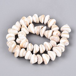 天然石シーシェルビーズ連売り  コーン  貝殻色  6~13x12~20x12~20mm  穴：0.5~0.6mm  約40個/連  15.16~15.55インチ（38.5~39.5cm）&nbsp;SHEL-Q028-02