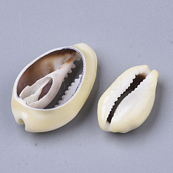 Natural Cowrie Shell Beads&nbsp;SSHEL-N034-28