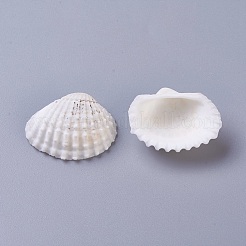 Shell Beads&nbsp;BSHE-WH0001-05
