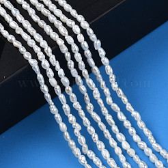 Natural Cultured Freshwater Pearl Beads Strands&nbsp;PEAR-N012-02H