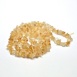 Chip Natural Citrine Beads Strands&nbsp;X-G-N0134-21