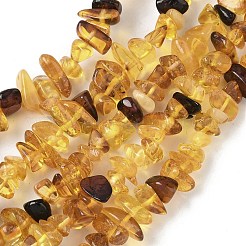 天然琥珀ビーズ連売り  チップ  5~11x4.5~6x2~4mm  穴：0.6mm  14.96インチ（38cm）&nbsp;G-L095-D01-04