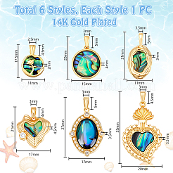 6Pcs 6 Styles Brass Pave Natural Paua Shell Pendants&nbsp;KK-PH0013-84