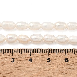 天然養殖淡水パールビーズ連売り  ライス  グレード3 A  ベージュ  5~5.5mm  穴：0.5mm  約48個/連  13.86''（35.2cm）〜14.06''（35.7cm）&nbsp;PEAR-D003-01D-14