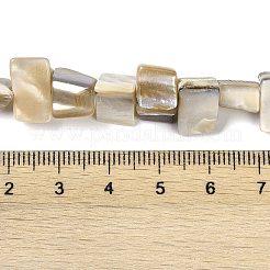 染め天然淡水シェルビーズ連売り  ナゲット  古いレース  7.5~9x9.5~15x5~9mm  穴：0.9mm  約42~50個/連  14.45''~14.76''（36.7~37.5センチメートル）&nbsp;SHEL-P016-01E