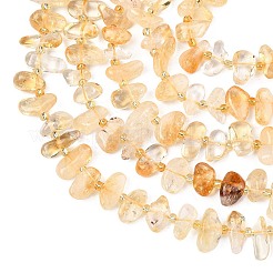 Natural Citrine Beads Strands&nbsp;G-F821-A01-01