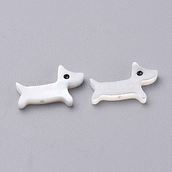 Puppy Natural Freshwater Shell Beads&nbsp;SHEL-T007-34