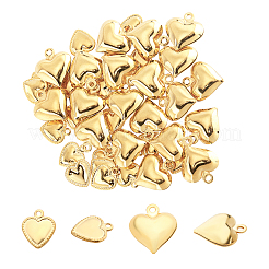 304 Stainless Steel Pendants&nbsp;STAS-UN0018-62G