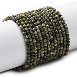 Natural Serpentine/Green Lace Stone Beads Strands&nbsp;G-Z116-A16-3mm