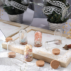16Pcs Glass Dome Cloche Cover&nbsp;AJEW-SC0001-55B