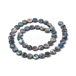 天然アワビシェル/パウアシェルビーズ連売り  フラットラウンド  カラフル  8x3mm  穴：0.5mm  約48個/連  16インチ&nbsp;LS-SSHEL-G003-5-8x3mm
