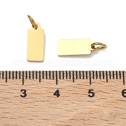 304 Stainless Steel Charms&nbsp;STAS-B124-01C-G