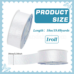 18M Iridescent Polyester Ribbon&nbsp;OCOR-WH0097-10A