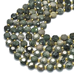 Natural Green Wood Lace Stone Wooden Jasper Beads Strands&nbsp;G-C116-A02-02