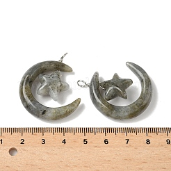 Natural Labradorite Pendants&nbsp;G-Z086-01P-14