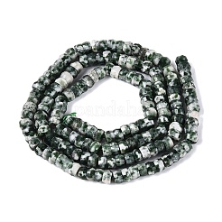 Natural Green Spot Jasper Beads Strands&nbsp;G-Q606-46A-07