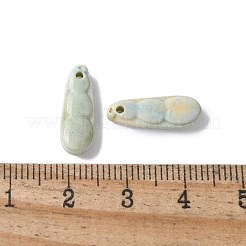Natural Rainbow Alashan Agate Charms&nbsp;G-G194-05B