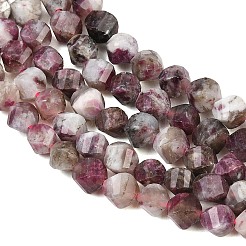 Natural Plum Blossom Tourmaline Beads Strands&nbsp;G-P611-C36-01
