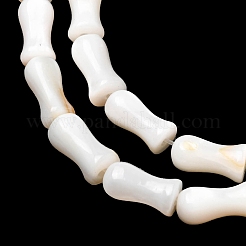 天然淡水シェルビーズ連売り  花瓶  貝殻色  9.5~10x4.5~5mm  穴：0.5mm  約41個/連  15.24''~15.47''（38.7~39.3センチメートル）&nbsp;SHEL-K006-08