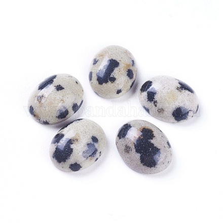 Natural Dalmatian Jasper Cabochons&nbsp;G-L511-B-02-1