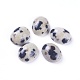 Natural Dalmatian Jasper Cabochons&nbsp;G-L511-B-02-1
