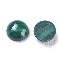 Natural Malachite Cabochons&nbsp;G-R476-01-6mm
