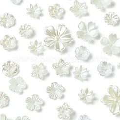 12 Styles ABS Plastic Imitation Pearl & Resin Bead Caps&nbsp;DIY-CJ0002-40