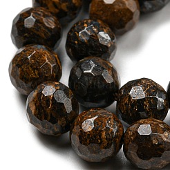Natural Bronzite Beads Strands&nbsp;G-E571-42A