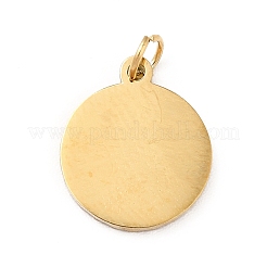 Ion Plating(IP) 304 Stainless Steel Charms&nbsp;STAS-G295-48G